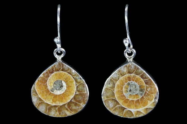 Fossil Ammonite Earrings - Sterling Silver #82250